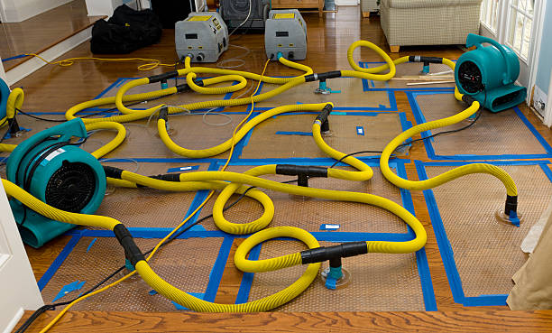 Professional Flood Damage Restoration technician working in Perkins, OK